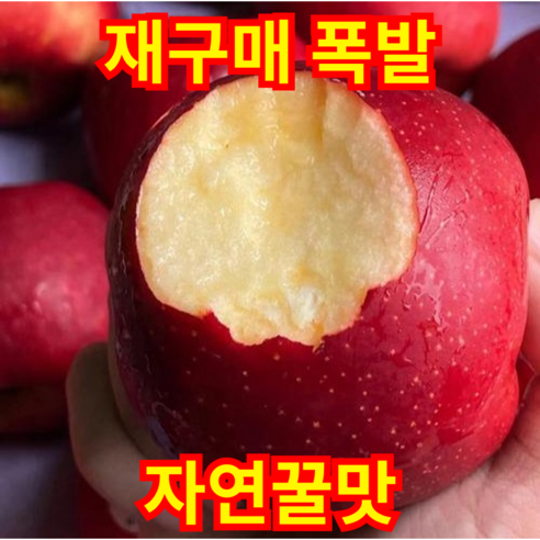 [5월특가]재구매폭발 자연꿀맛 아삭식감 신선농부 못난이사과, 1박스, 5kg
