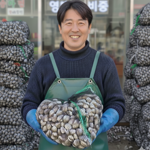 상위1%생산자직송 보성 벌교 여자만 새꼬막