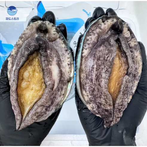 파도스토리 완도전복 2kg 왕특대 직거래 산지직송 선물세트 손질칼 증정, 1세트, 2kg(톡대 18-20미)