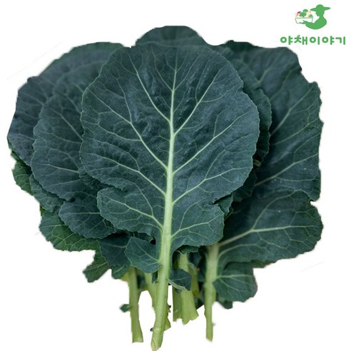 야채이야기 쌈케일 1kg 케일 쌈, 1개, 1kg