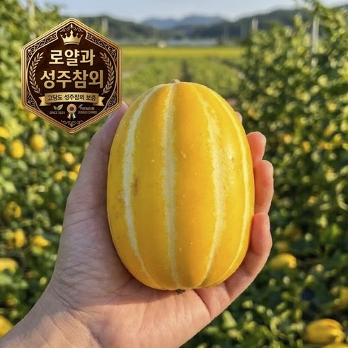 [타임특가] 성주참외 고당도 가정용 로얄과 실속형