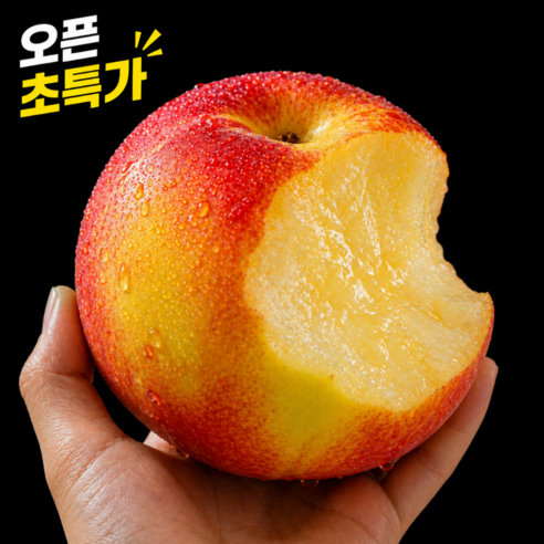 [호텔납품용] 만족도1위 고당도 천도 복숭아