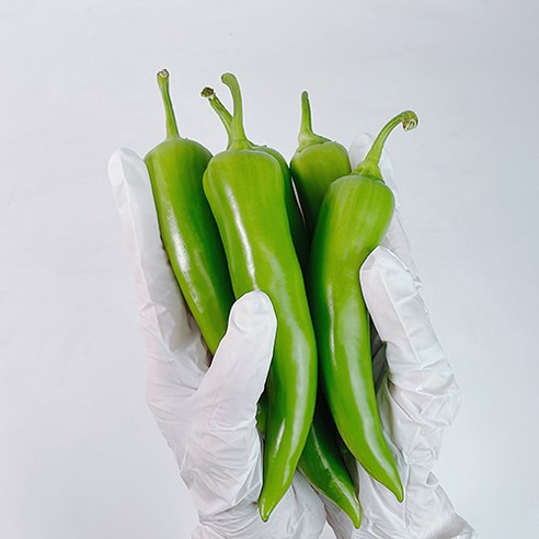 당조 고추 식후 혈당 상승을 억제하는 AGI 성분이 풍부한 기능성 고추 500g, 1개
