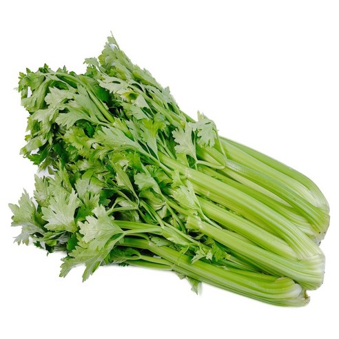 일등농수산 유기농 전남 광양 샐러리, 1kg, 1개