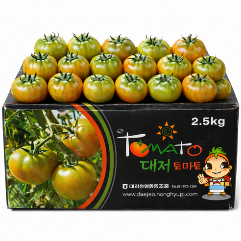 [첫수확특가] 초특가 신선한 짭짤이 대저토마토, 1박스, 2.5kg(s-3s)