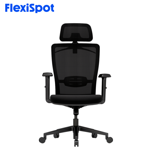 FlexiSpot 인체공학 다각도 조절 사무 의자 요추보호 틸팅 팔걸이 목받침 조절 컴퓨터의자 OC3, 블랙