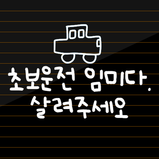 초보운전 스티커 귀여운 차량용 왕초보운전 차량 초보, 화이트, 1개