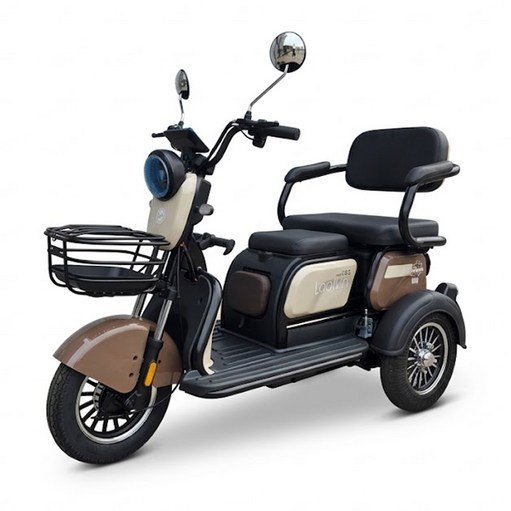 준테크 완조립 삼륜 전기 스쿠터 세발 전동차 어르신 전동스쿠터 48V20A