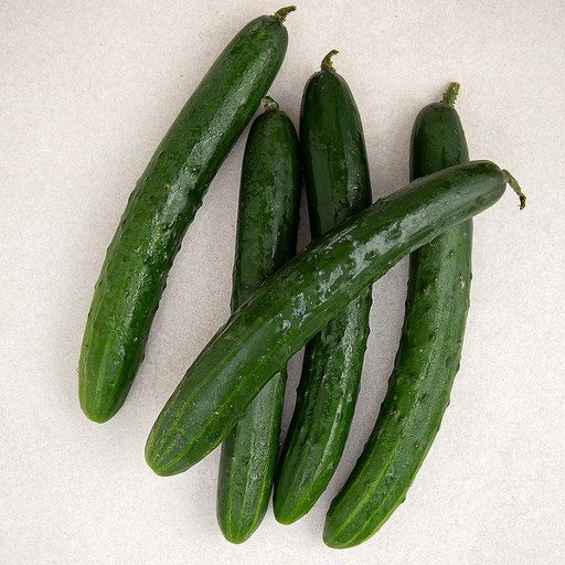 로켓프레시 아삭오이