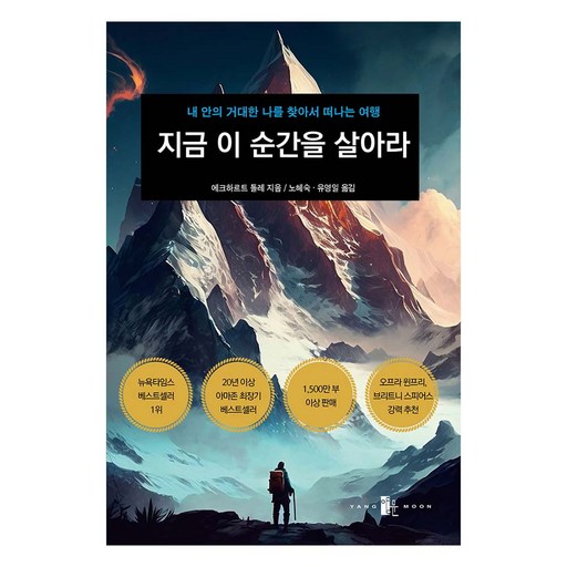 지금 이 순간을 살아라:내 안의 거대한 나를 찾아서 떠나는 여행