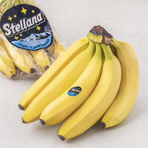 [로켓프레시] 스텔라나 베트남산 바나나