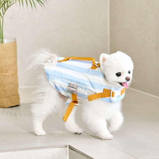 울리 강아지 우리 댕댕이 구명조끼
