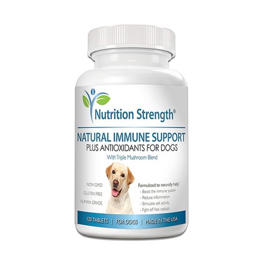 뉴트리션 스트렝스 강아지 력 지원 및 항산화제, 영지버섯, Nutrition Strength Immune Support for Dogs Plus Antioxidant, Reish, 1개