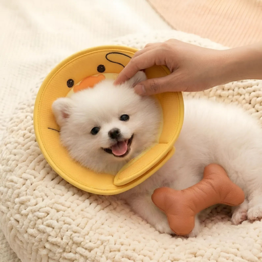 애져요 통기성 강아지 고양이 공용 넥카라 수술 회복