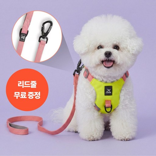 닥터메디펫 강아지 초경량 하네스 리드줄 세트
