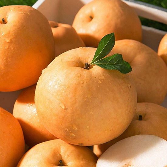 미미의밥상배: 건강한 식탁을 위한 최고의 선택, 지금 바로 만나보세요!