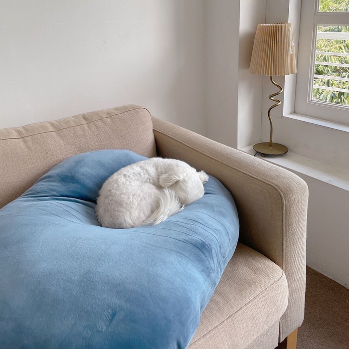 앤더라인 대형 쫀득 말랑 츄이 소파 쿠션