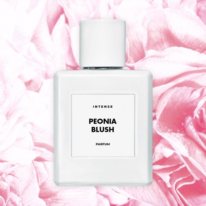 인텐스 피오니아 블러쉬 퍼퓸 니치향수 피오니 앤 블러쉬 스웨이드, 1개, 50ml