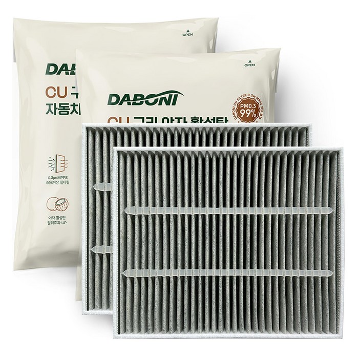 다보니 PM 0.3 카니발 4세대 KA4 구리 항균 활성탄 에어컨 필터 세트 전면+후면