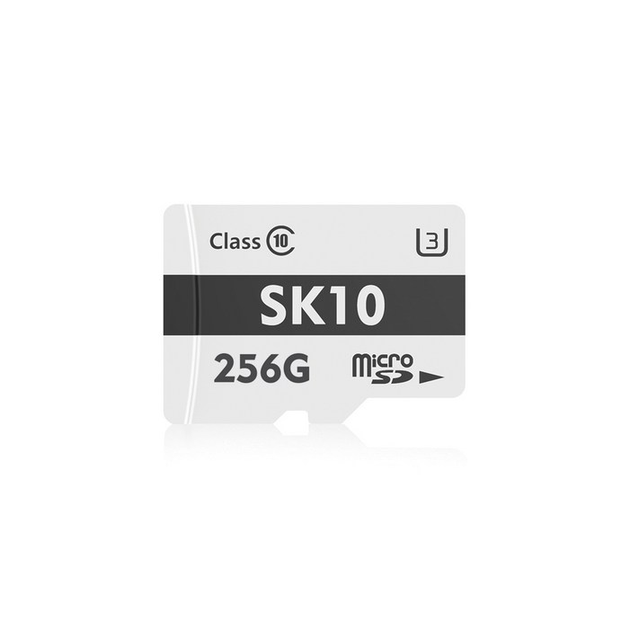 액센 SK10 Micro SD, 256GB, 1개