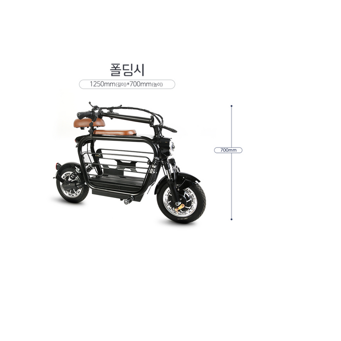 방배점미니비 포니 듀얼 19.2AH 800W 2개 전동 스큐터