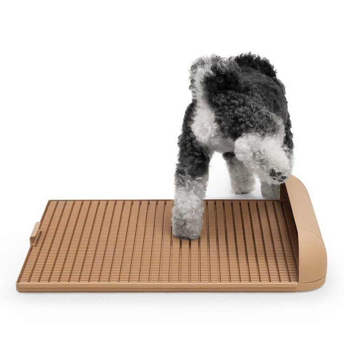 독톡 강아지 배변판 패드필요없음, 샌드베이지, 1개