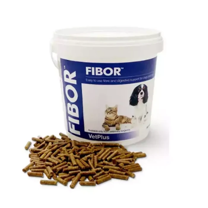 벳플러스 파이보 강아지고양이영양제