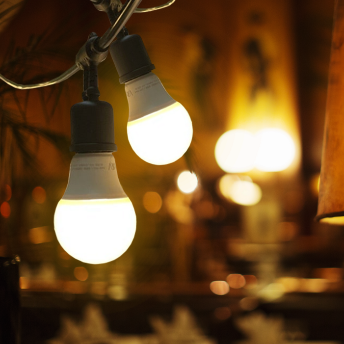 선세이브 LED 파티라이트 전구미포함 스트링라이트 오징어등 캠핑 조명, 블랙