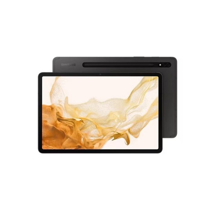 삼성전자 갤럭시탭 S8 SM-X700