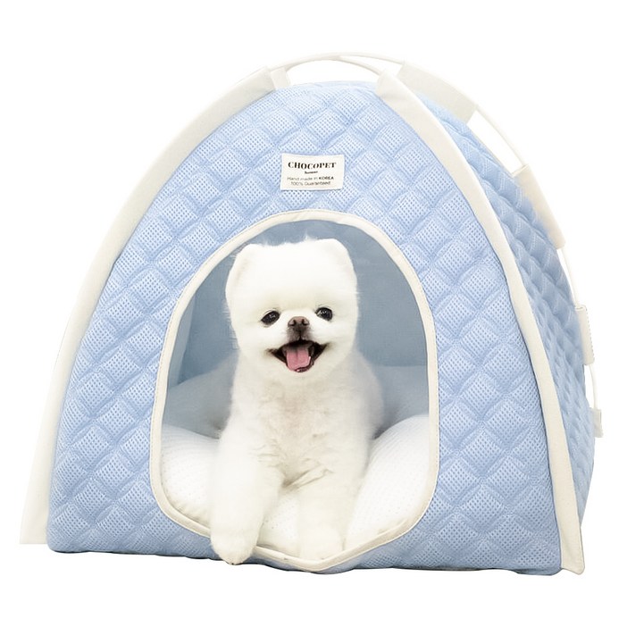 초코펫하우스 강아지 여름 쿨링 얼음의집, 스카이블루, 1개