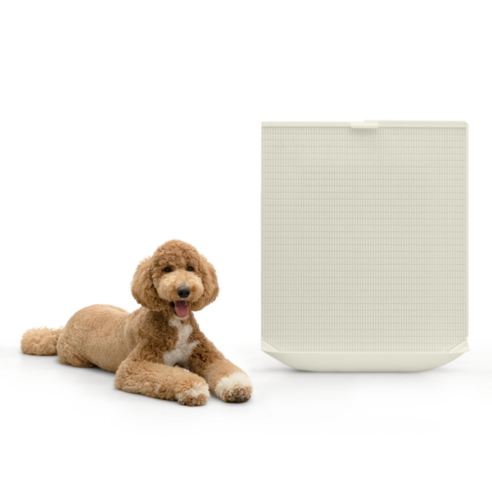 독톡 강아지 배변판 패드필요없음, XL배변판화이트, 1개