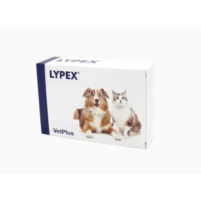 벳플러스 라이펙스 강아지 고양이 독 캣 구토 췌장효소 영양제 캡슐