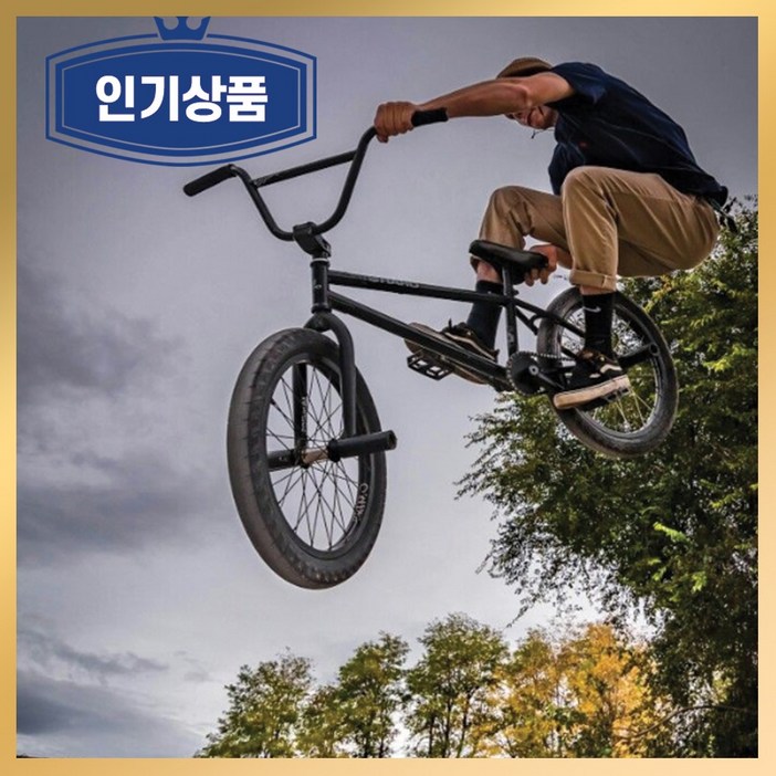 BMX 자전거 묘기 바이크 입문용 스턴트 경량