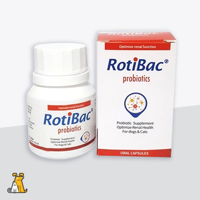 로티백 90캡슐 강아지고양이 신장영양제 신부전