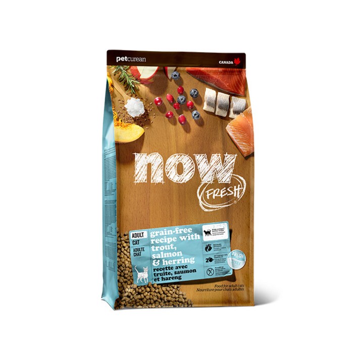 now 고양이 그레인프리 피쉬 기능성 사료