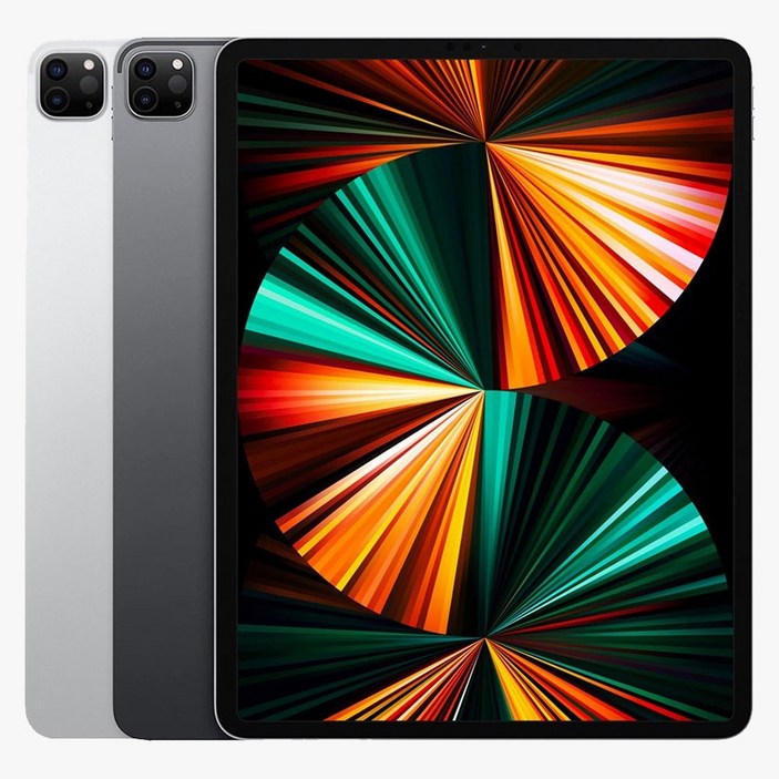 Apple 아이패드 프로 12.9 5세대 M1칩