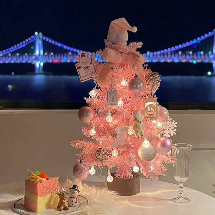 이플린 미니트리 풀세트  크리스마스 선물상자