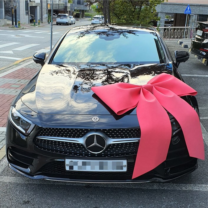 플로라디자인가격다운 품질은업 고퀄 웨딩카 출고차 이벤트장식 차량용장식리본 자동차리본 대형리본 자이언트리본, 1개