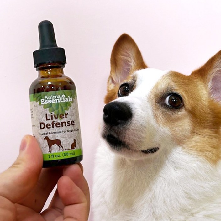 애니멀에센셜 간팅크 강아지 고양이 실리마린 밀크시슬 영양제 간수치 개선 30ml, 30ml