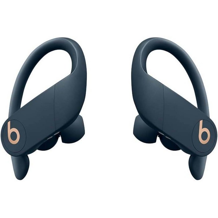 Beats by Dr. Dre Powerbeats Pro Wireless 이어버드