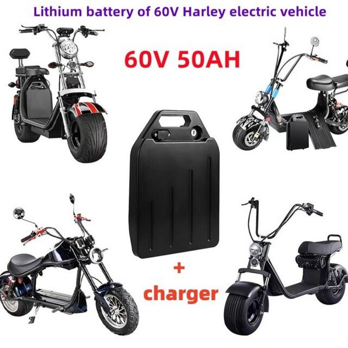부강샵 전동바이크 전기이륜차 전기 자동차 배터리 방수 18650 더블 휠 접이식 Citycoco 스쿠터, 60V, 20Ah