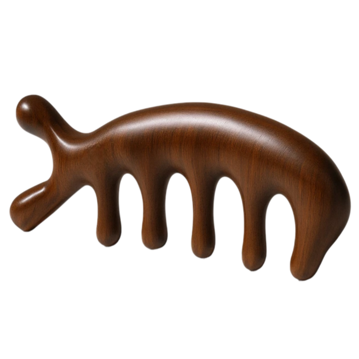 베러웰즈 전신 경락 두피 괄사