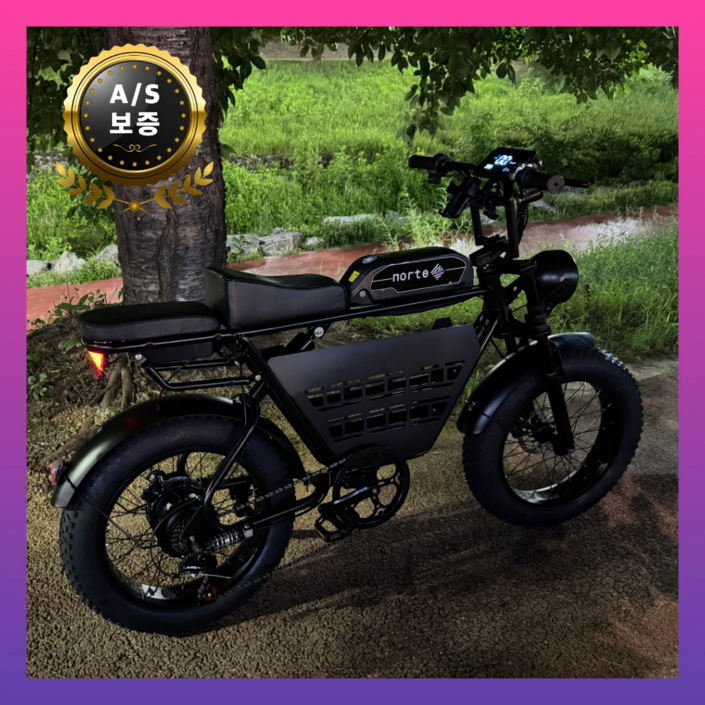 노르테 전기 자전거 자토바이 전동 스쿠터 팻바이크 MTB 배달용 출퇴근용, S1 럭셔리, 스틸