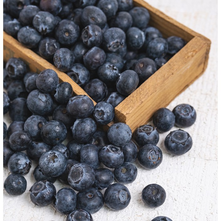 리얼프룻 명품과일 생 블루베리 1416mm 1618mm, 2박스, 125g 특대과 1618mm