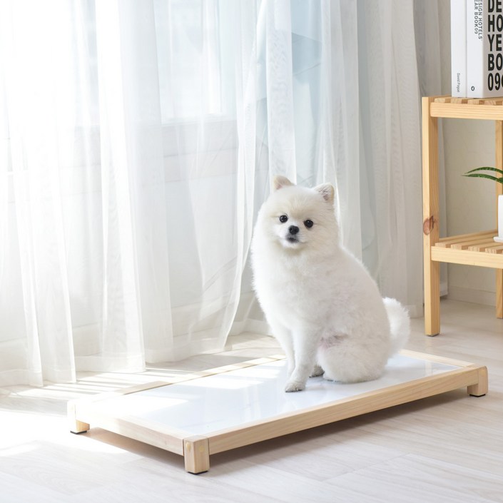 힘을내요집사 편백나무원목 강아지 고양이 대리석 쿨매트 아이스팩, 무광