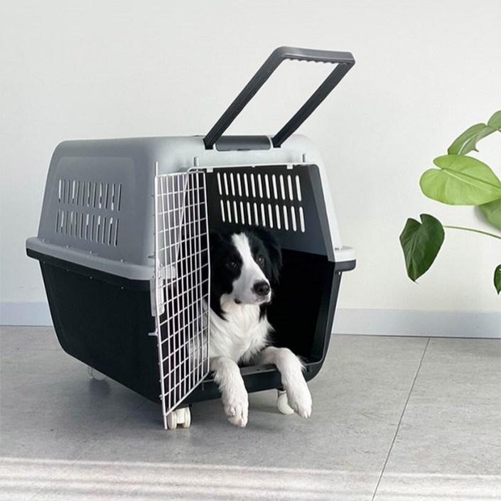 딩동펫 반려동물 에어켄넬