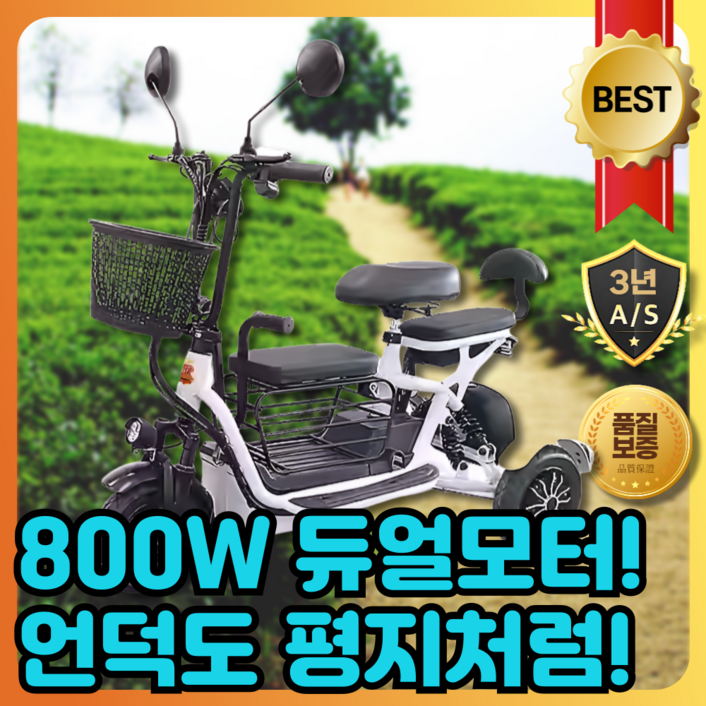파워고 듀오포스800 삼륜 오토바이 전기 바이크 배달 미니 삼발이 사발이 스쿠터