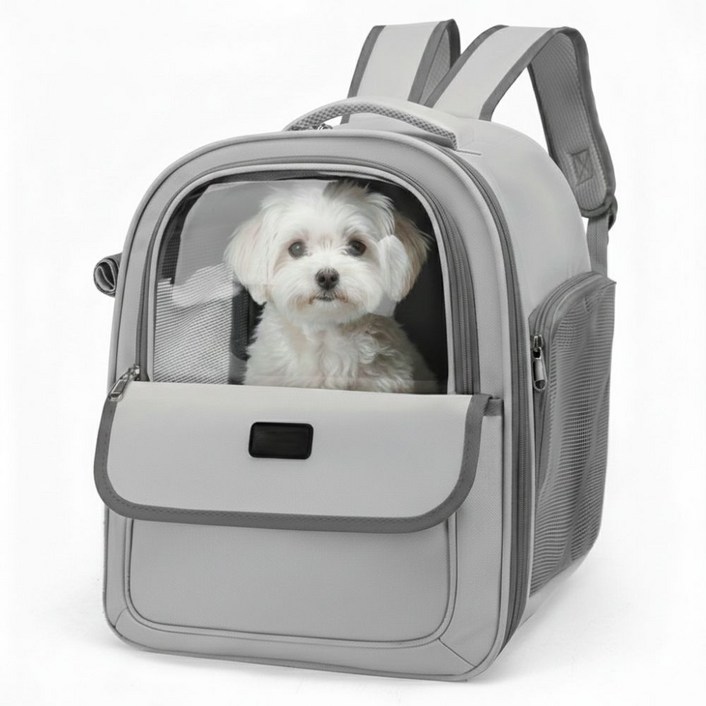 피디노스 강아지 고양이 가방 백팩