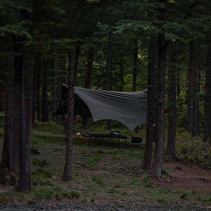카즈미 와일드 필드 옥타곤 타프