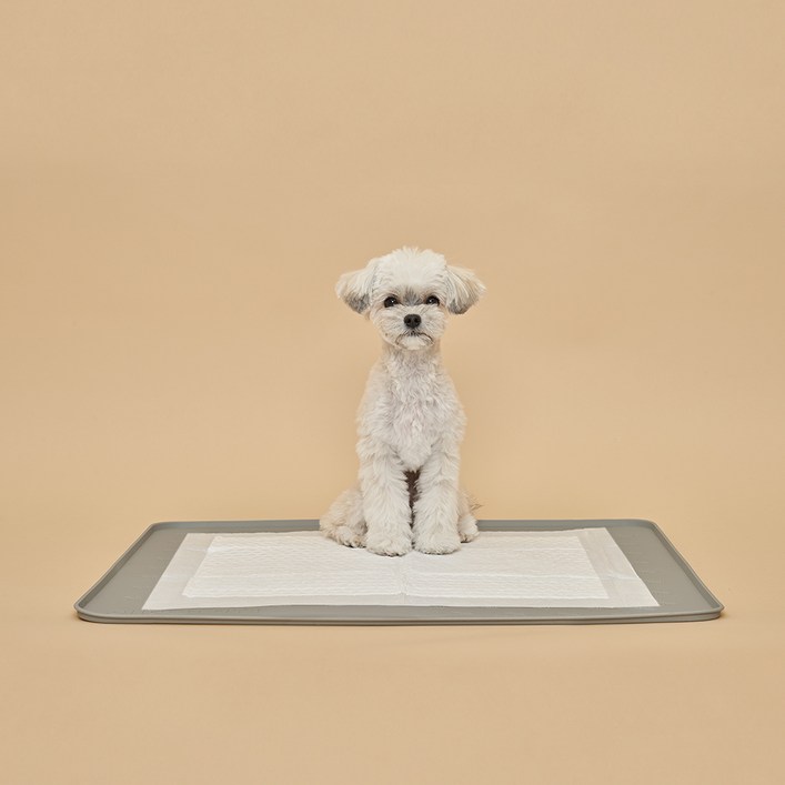 도그아이 반려동물 논슬립 실리콘 배변매트